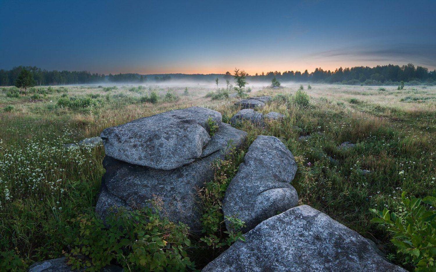 , Александр Гоголин