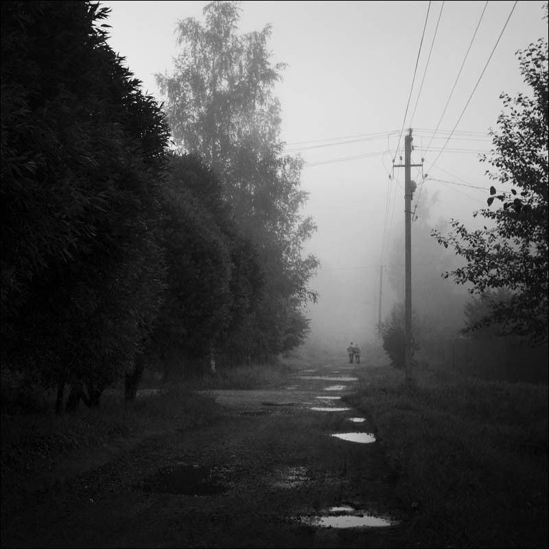 После дождя фото превью