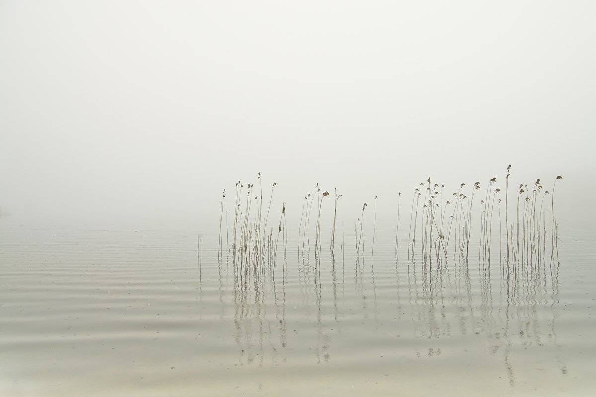 , Rimantas Bikulcius