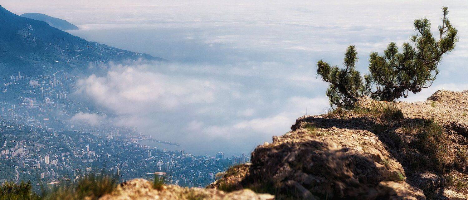 , Игорь Мелекесцев