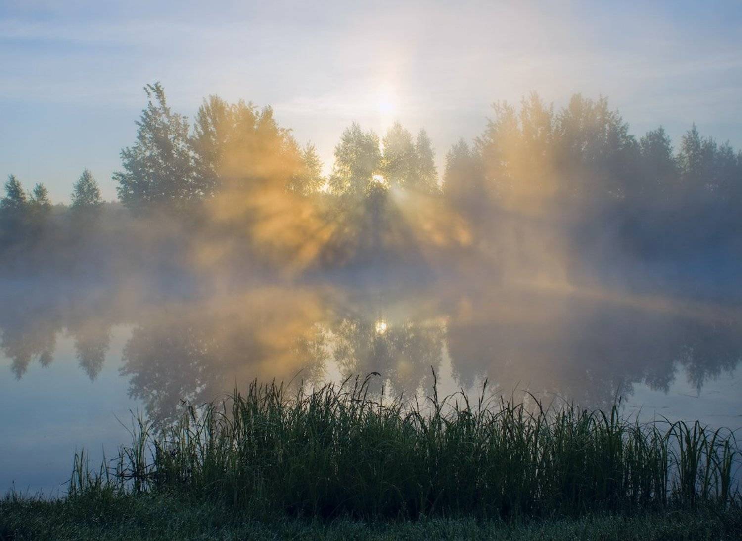 , Дмитрий Алексеев