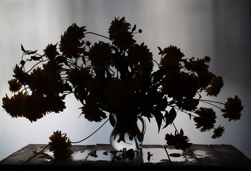 натюрморт, цветы  фото превью