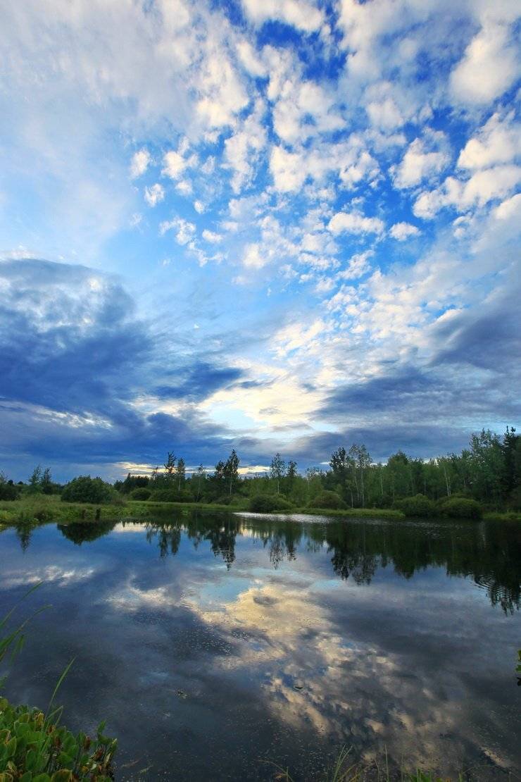 , Валерий Кондратов
