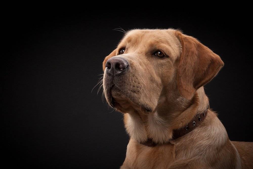 , Назаров Сергей