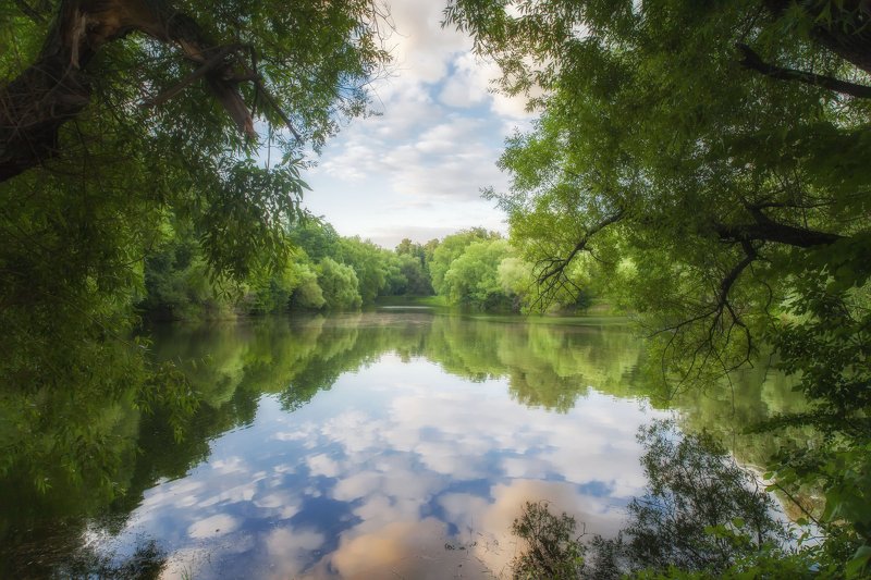 Пейзаж, парк, природа России, летний день, отражения Теплый вечерний день в парке фото превью