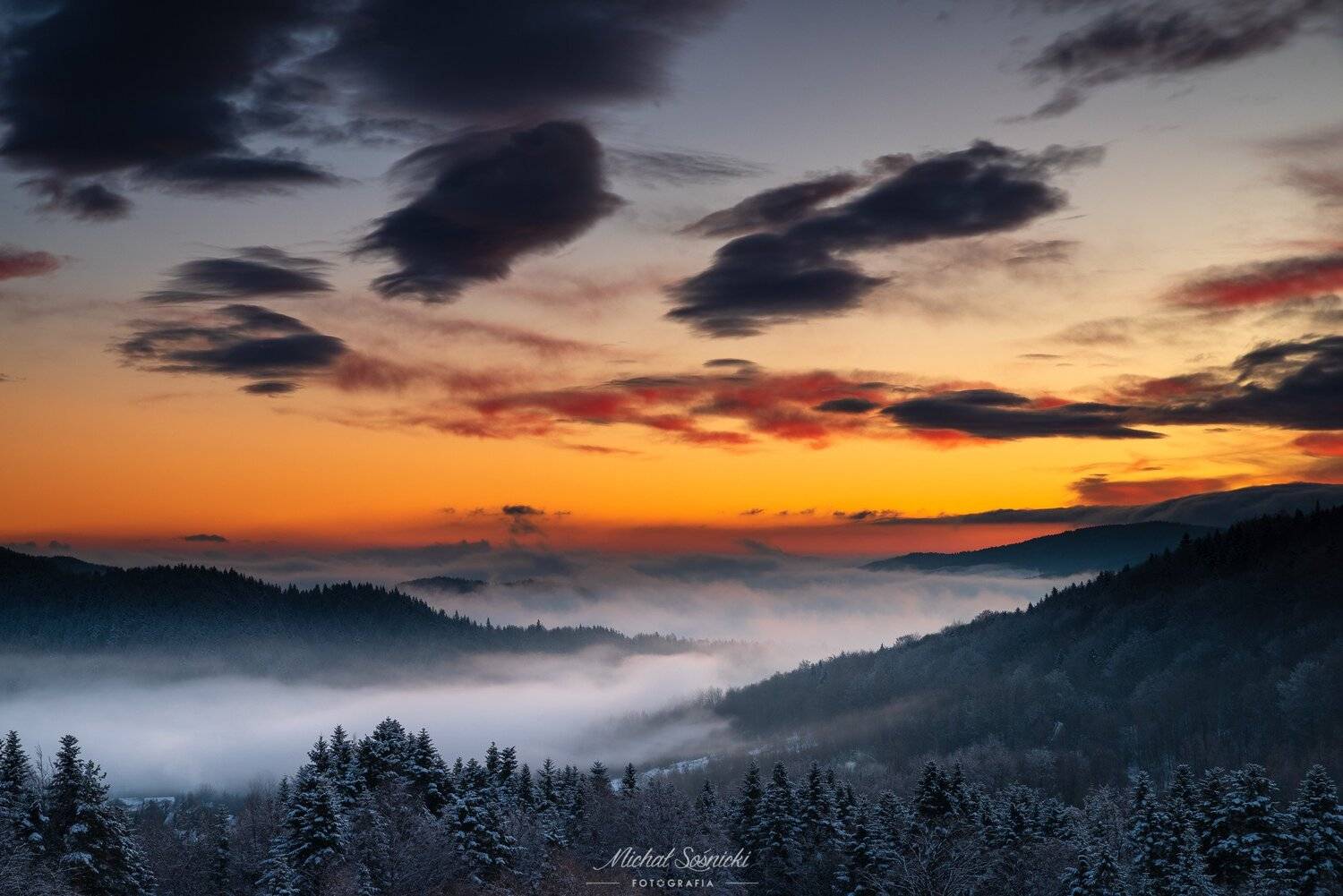 #poland #benro #benq #haida #winter #snow #tree #nature #sunrise, Michał Sośnicki