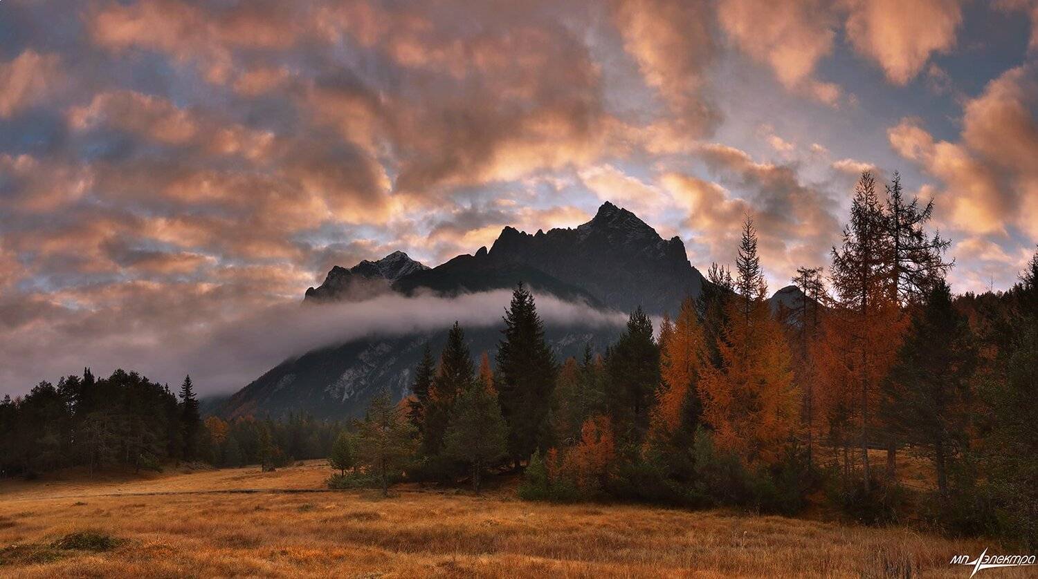 swiss, Матвеев Николай