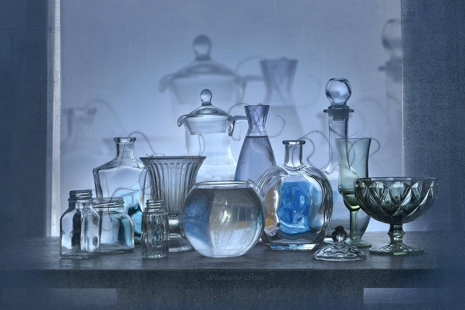 , Шипунова Ирина