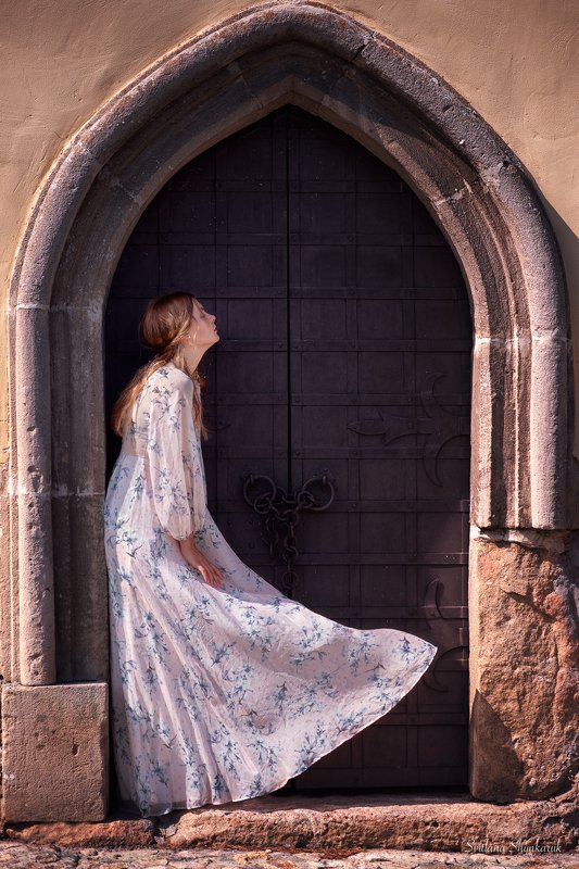 portrait, fragile, natural beauty, female portrait, emotion Fragile sadness again фото превью