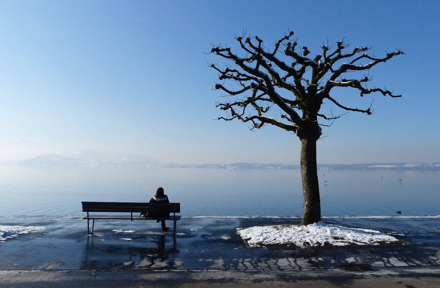 street, blue, landscape, nature, tree, woman, bench, travel, water, lake, birds, snow, solitude, city, , Svetlana Povarova Ree