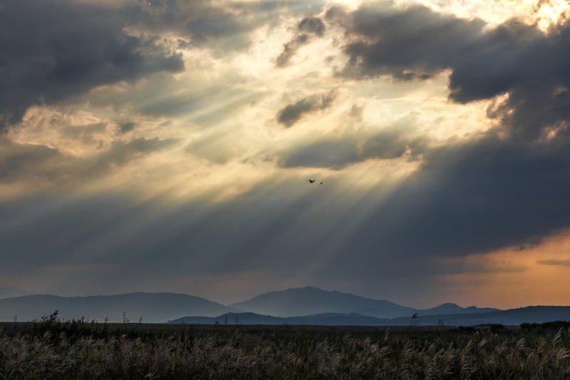 Путь к свету.. фото превью
