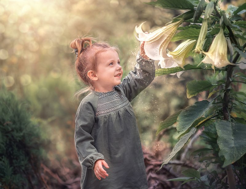 Волшебная пыльца фото превью