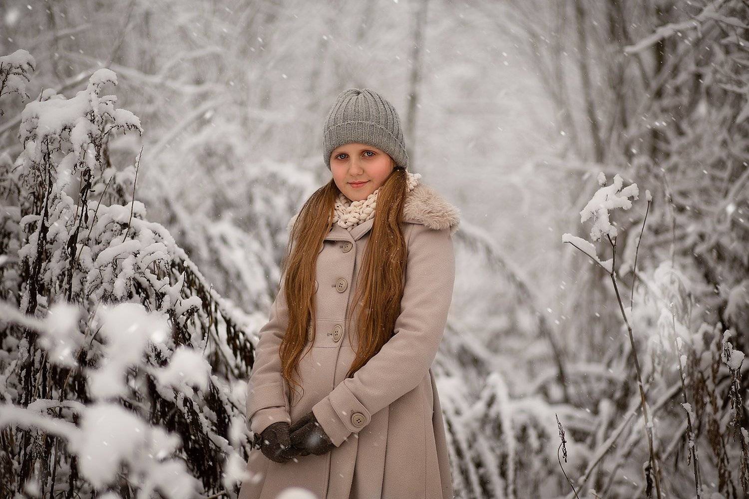 Winterland. Автор: Vilma Arlauskaite Buloviene , Vilma Arlauskaite Buloviene