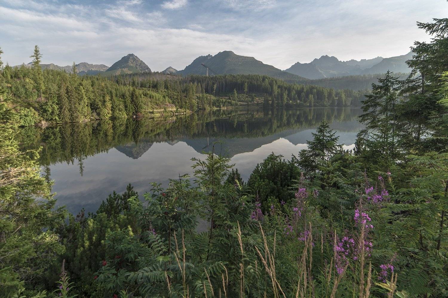 словакия, горы, татры, штребське плесо, озеро, деревья, пейзаж, Владимир Яськив
