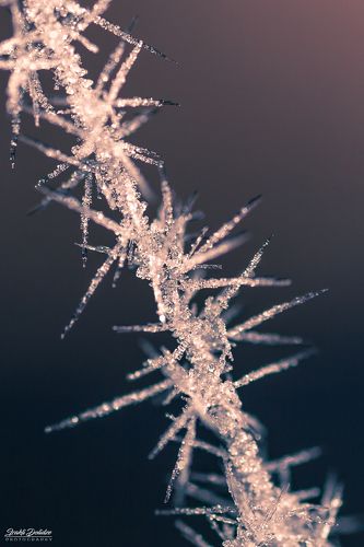 Ice crystals