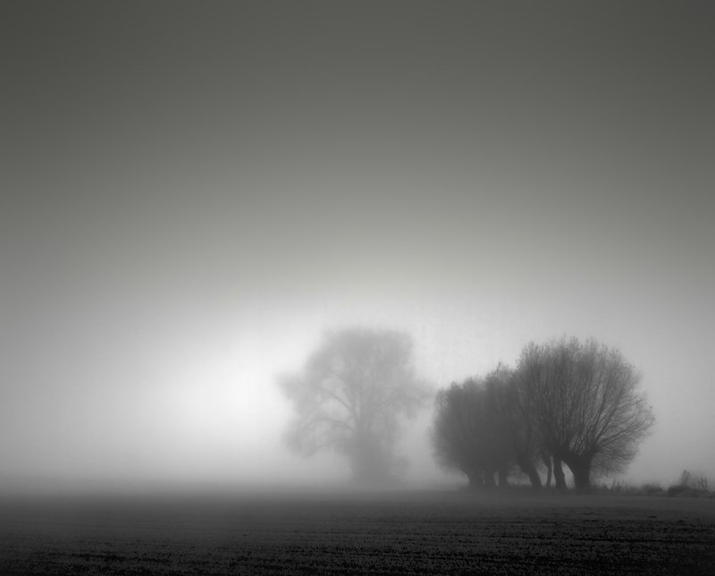 among the fields... фото превью