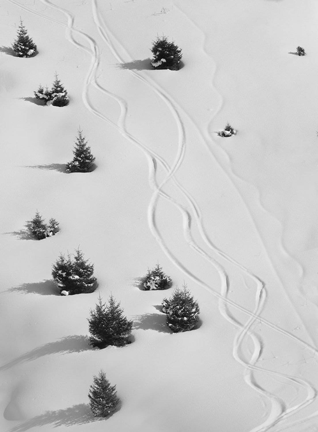 , Евгений Зинов