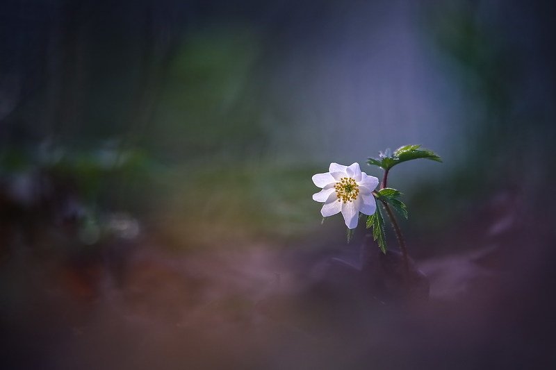 Мне не хватает твоей души... фото превью