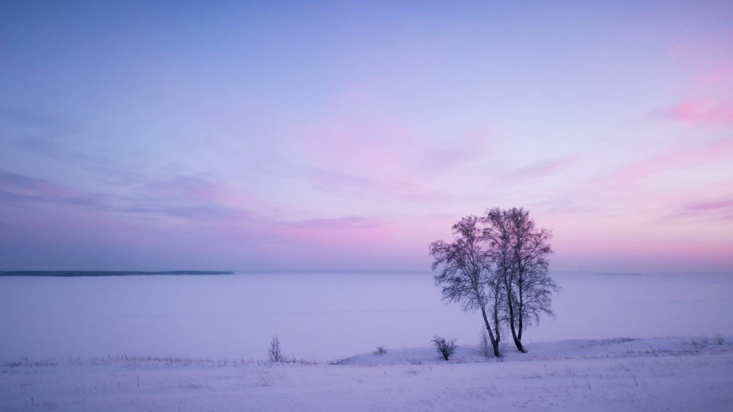 , Владимир Гущин