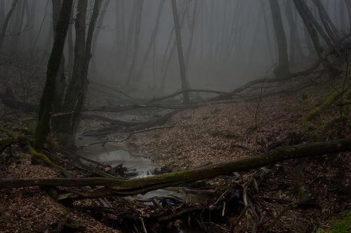 Мрачное утро