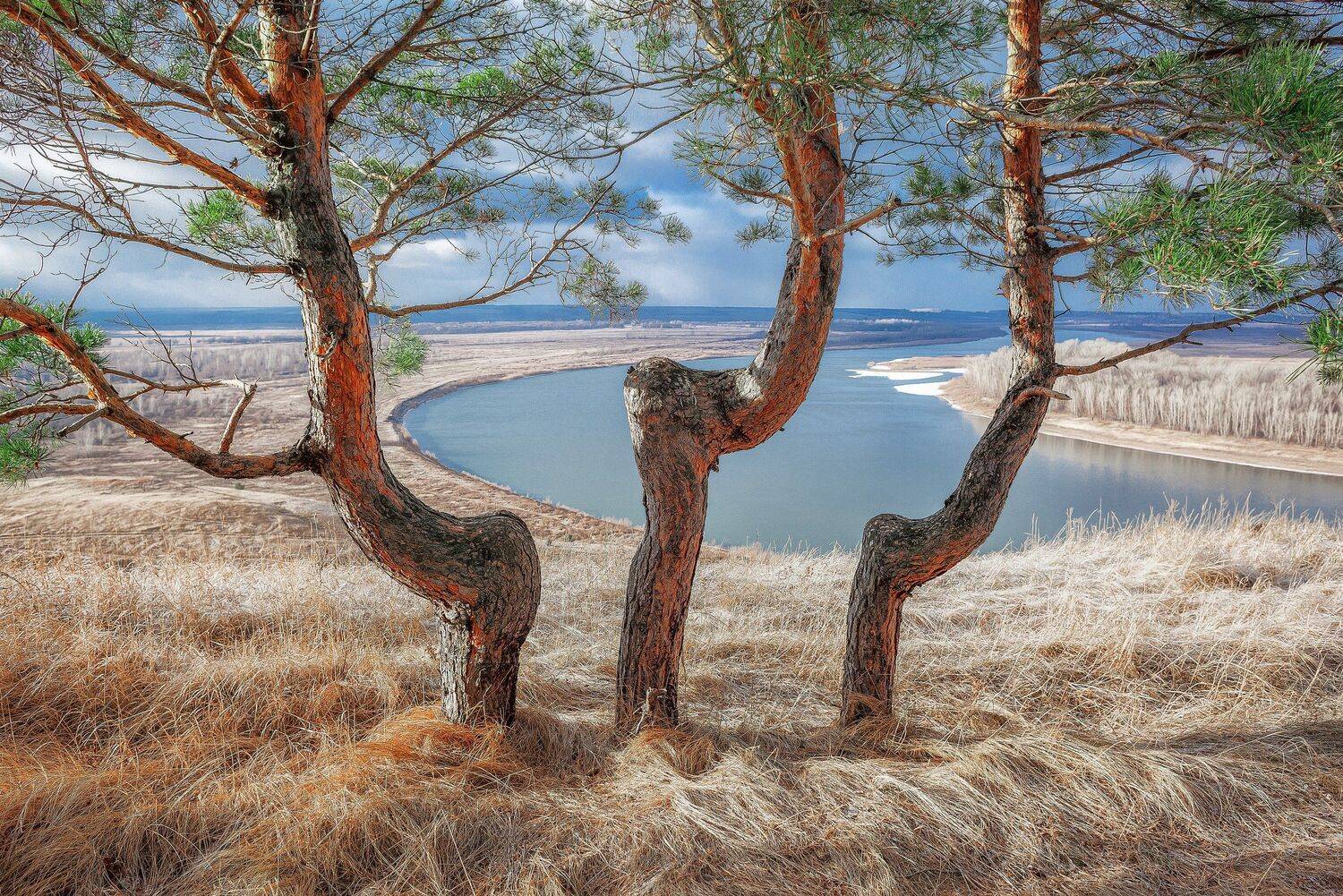 , Алексей Никитин