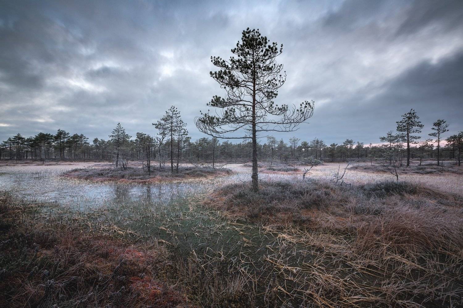 , Антон Кононов