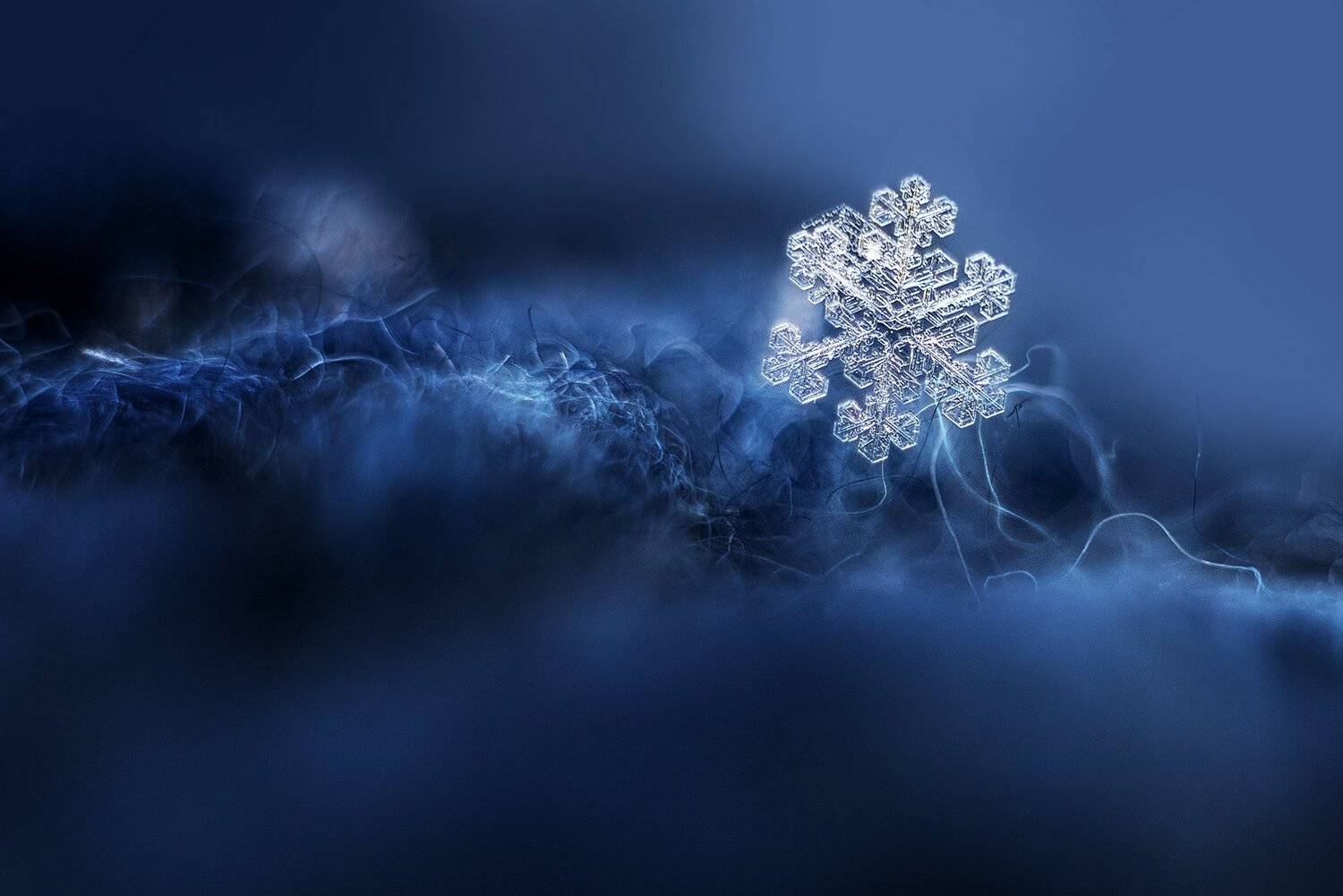 снежинка, Анастасия Думинская