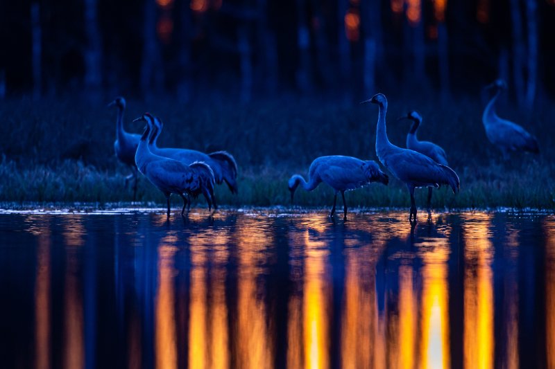 Between day and night фото превью