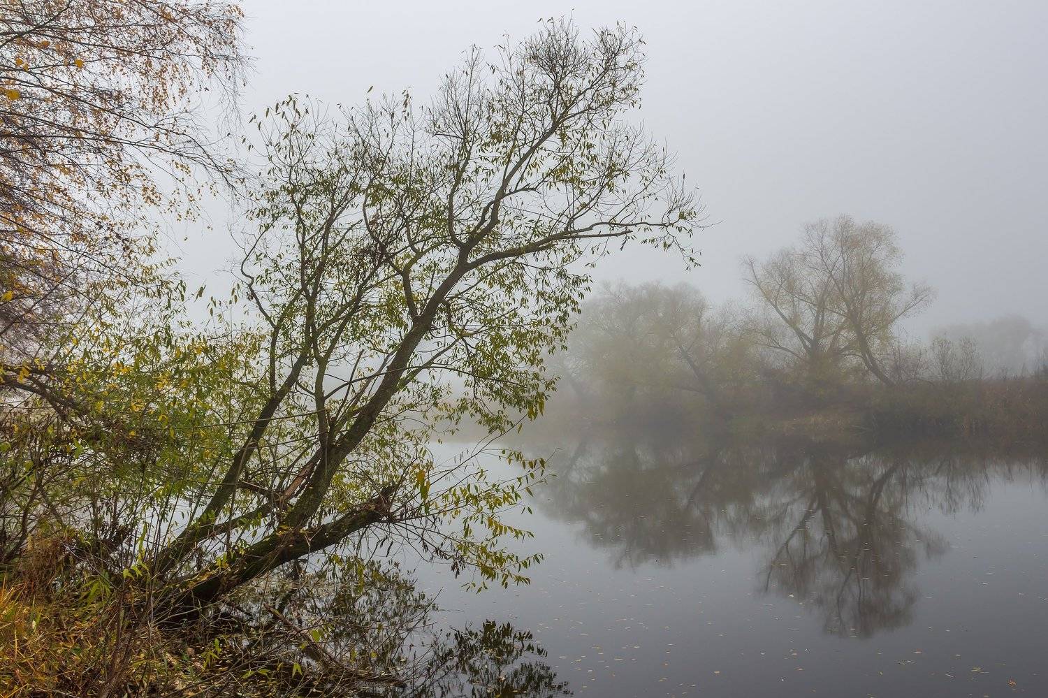 туман, река, природа, осень, озеро, ноябрь, лес, вода, усмань, Руслан Востриков