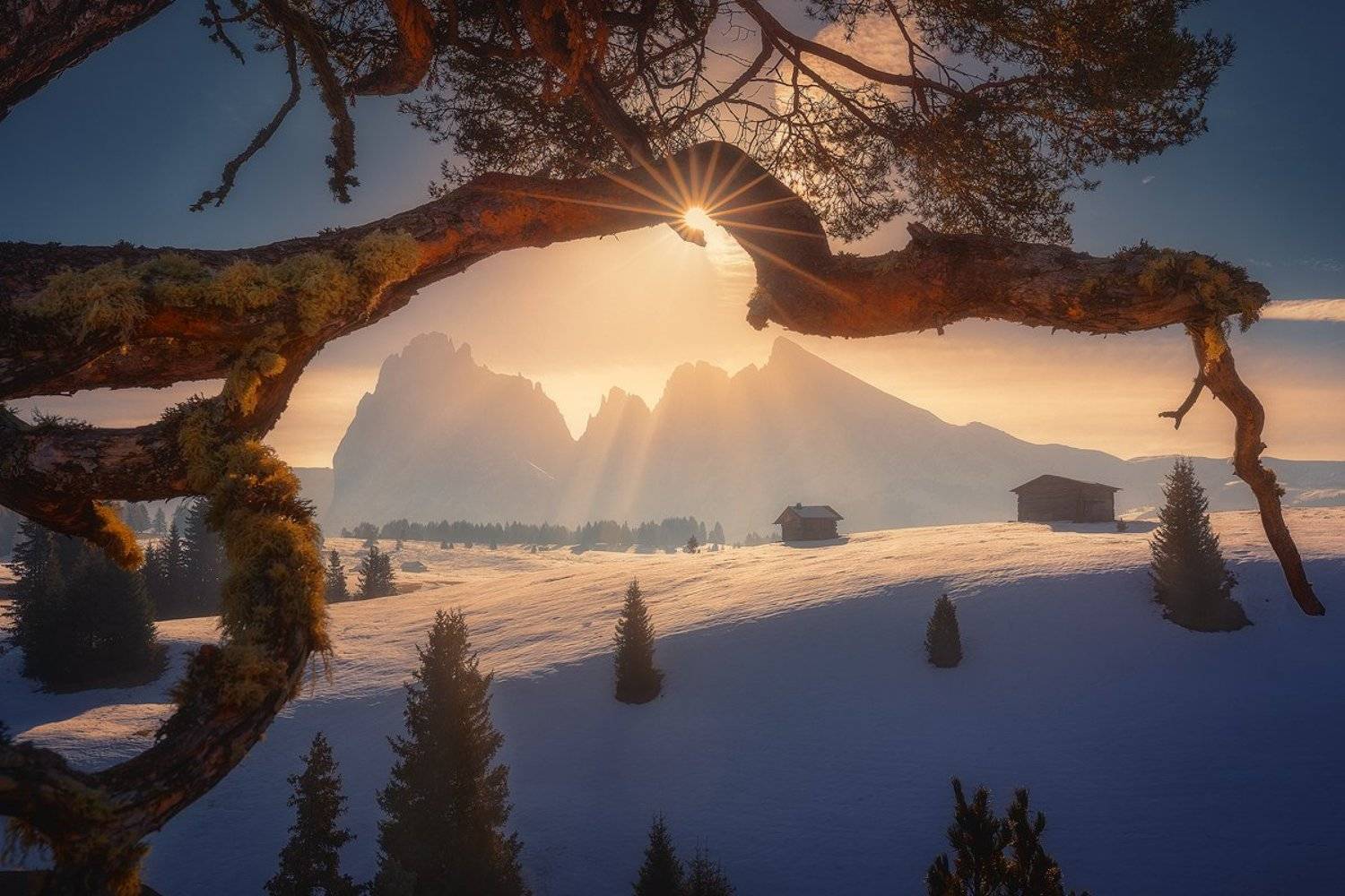 dolomiti, italy, landscape, winter, snow, alpe, di, siusi, mountain, sun, , Roberto Pavic