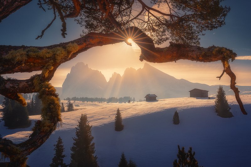 dolomiti, italy, landscape, winter, snow, alpe, di, siusi, mountain, sun,  alpe di siusi фото превью