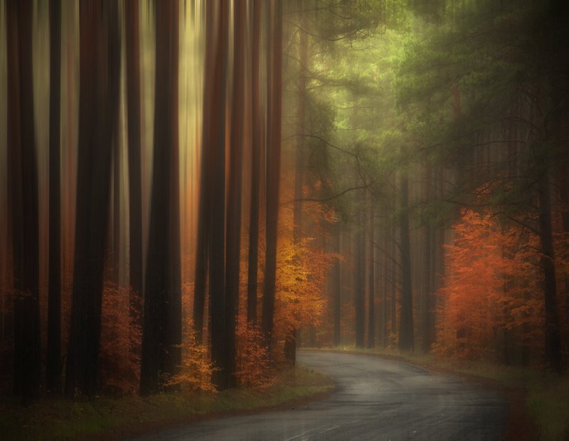 at the bend... фото превью