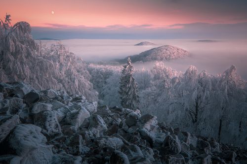 Winter Land