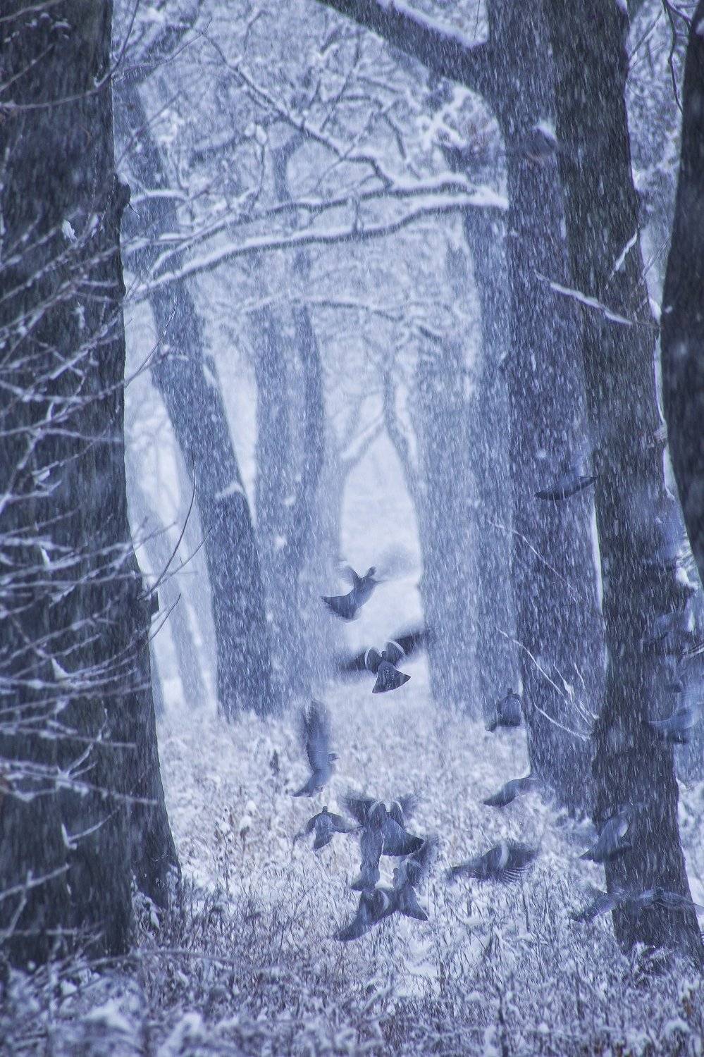 , Павел Сагайдак