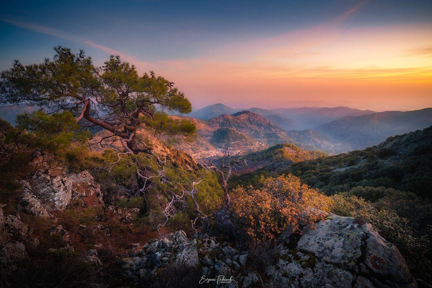 , Evgeni Fabis