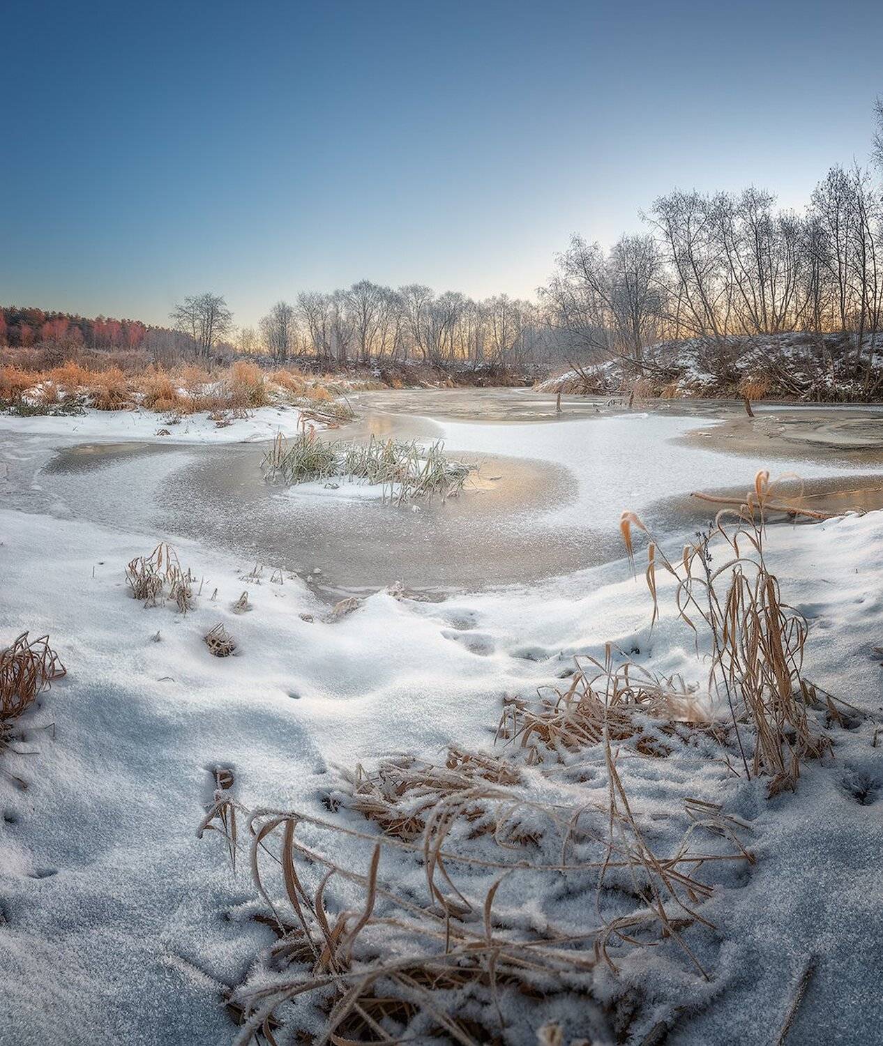 , Николай Андреев