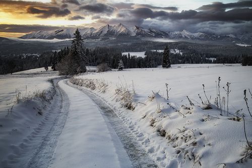 Road to happiness