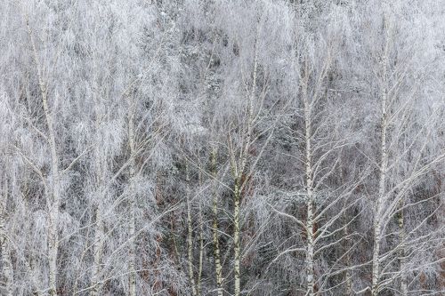 Зимний наряд