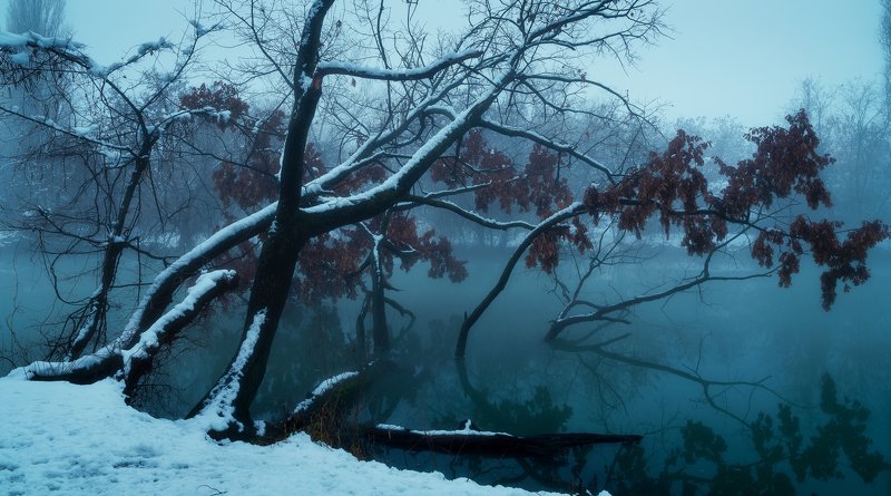 Синий час фото превью