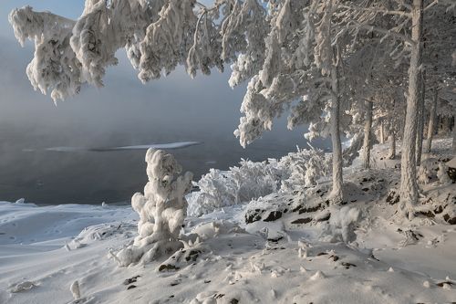 Зимнее украшение.