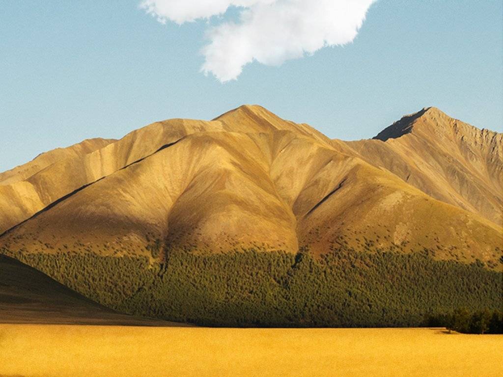 , Ольга Беккер