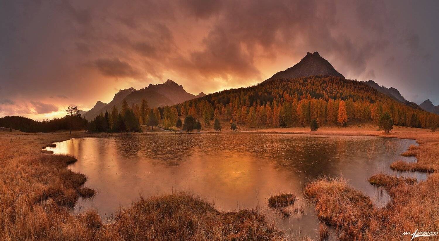 swiss, Матвеев Николай