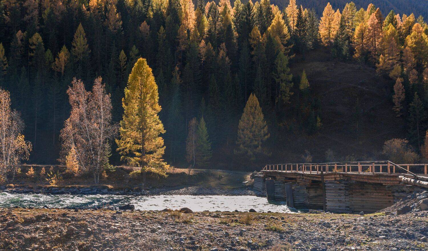 россия, горный алтай, река чуя, мост, осень, Андрей Поляков