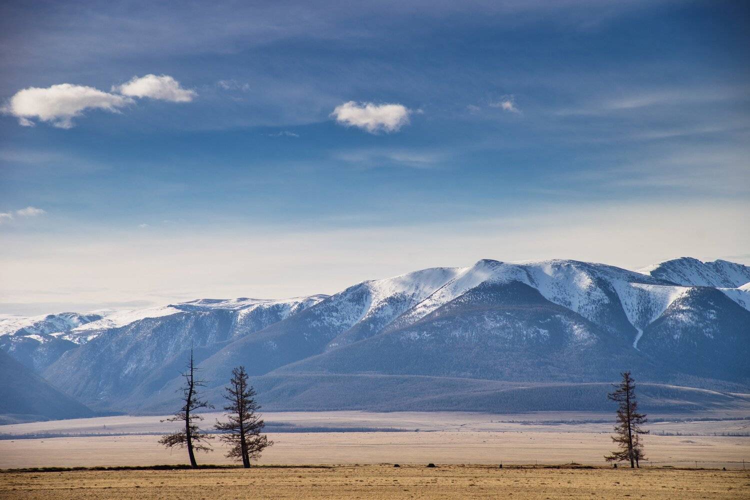 , Андрей Хаймин