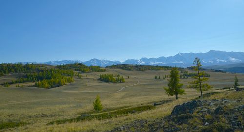 Где-то в Курайской степи