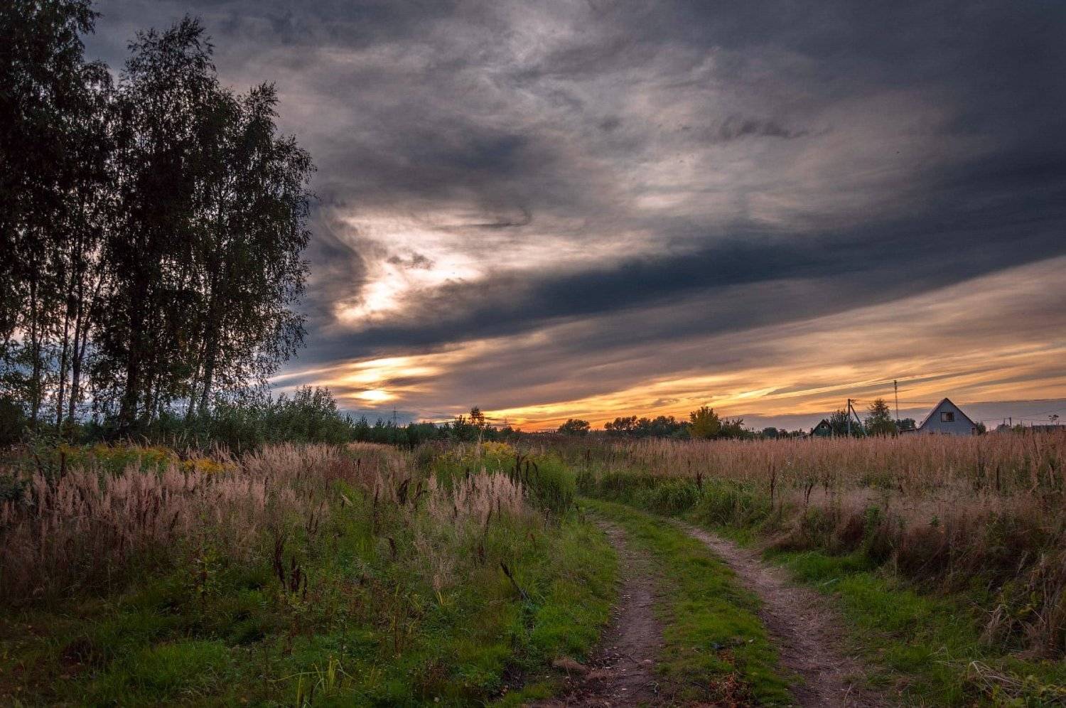 , Октай Гусейнов