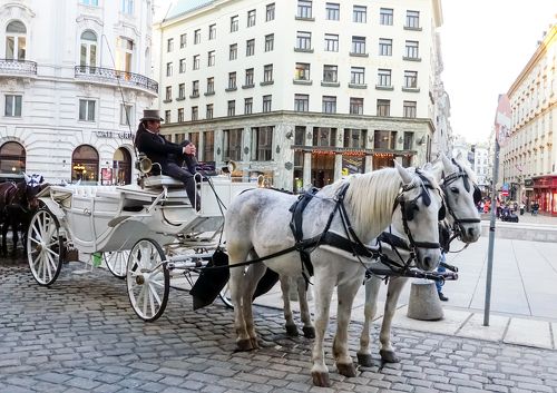 Венский извозчик