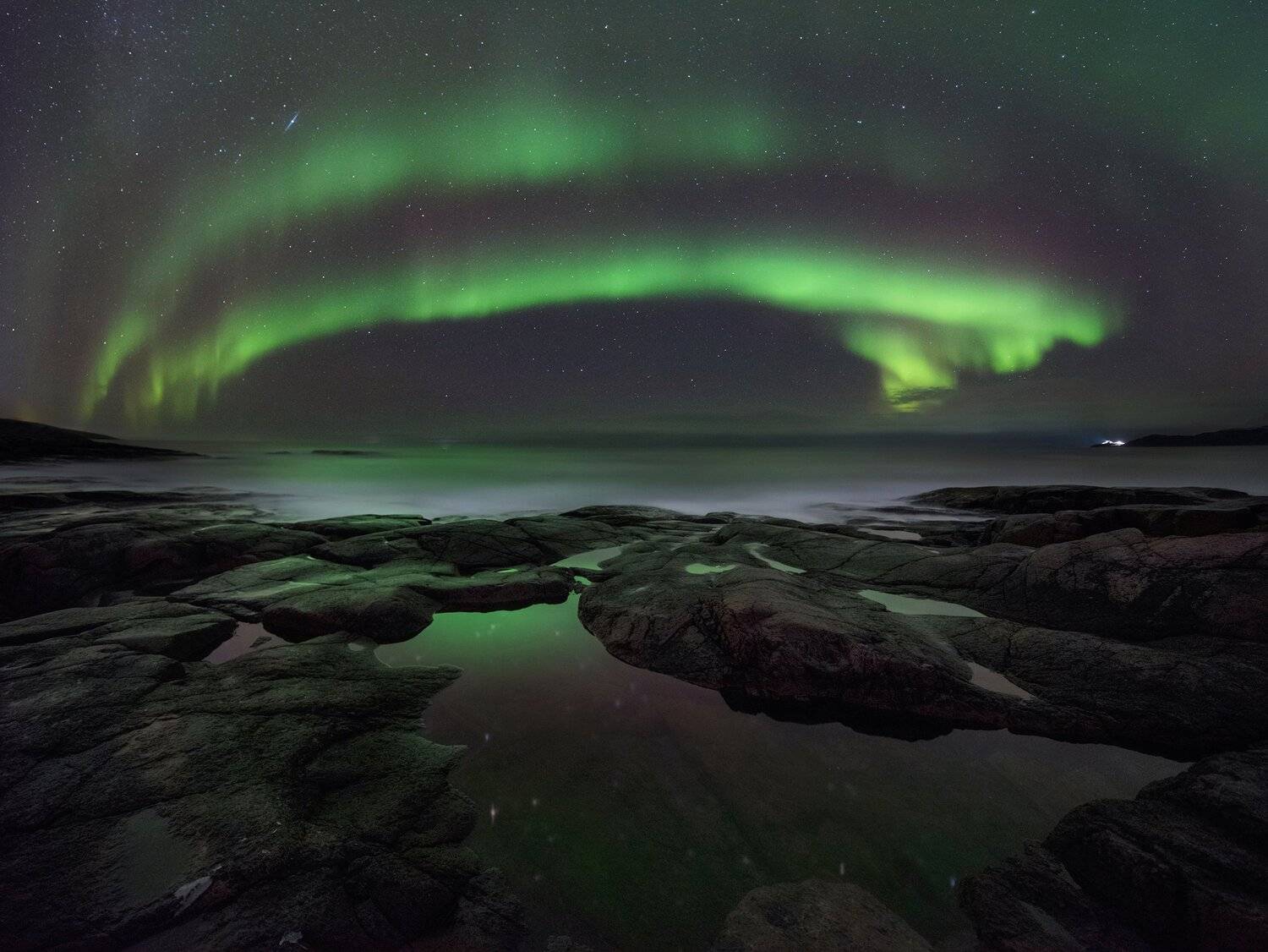 , Елена Ермолина