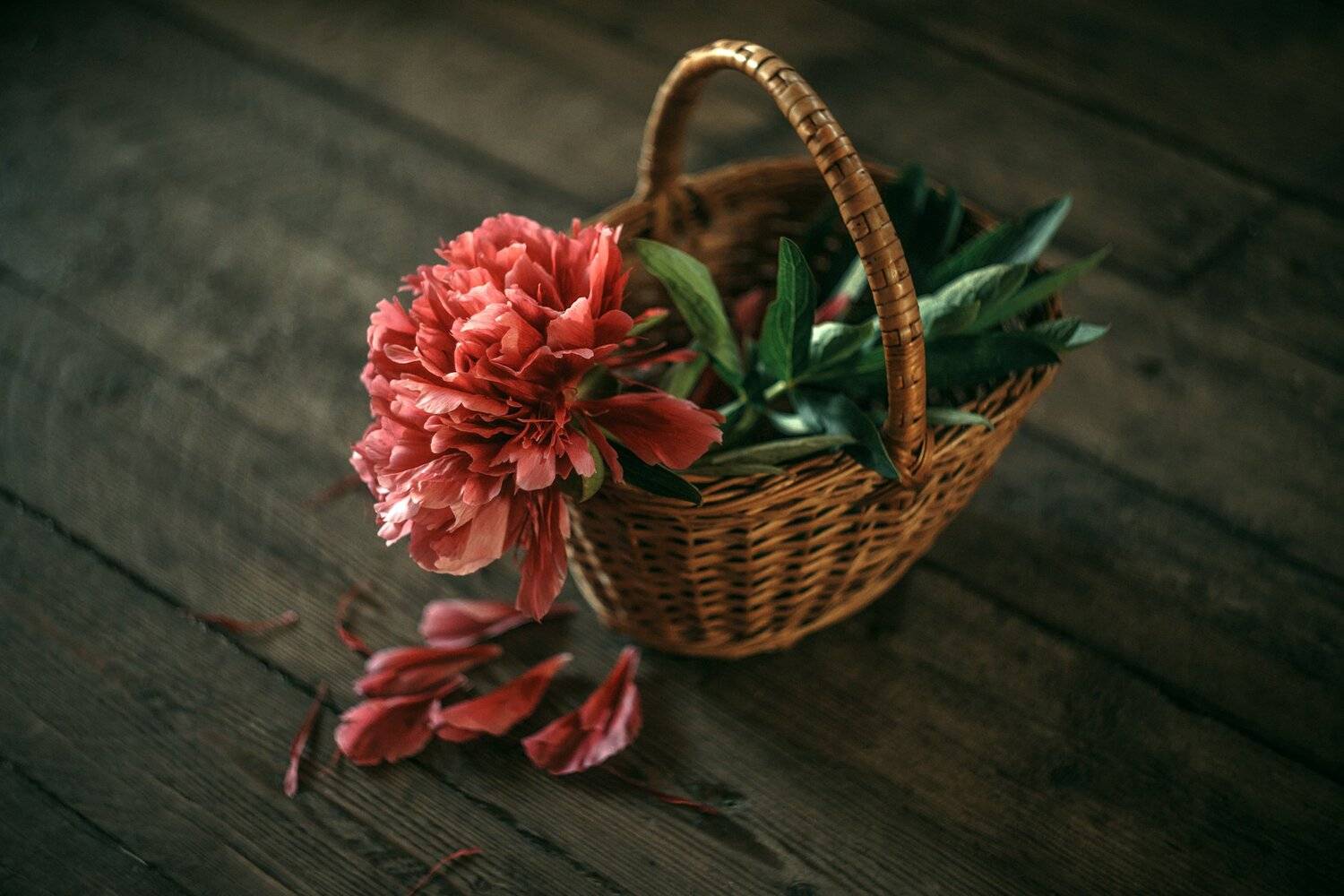 , Рут Андрей