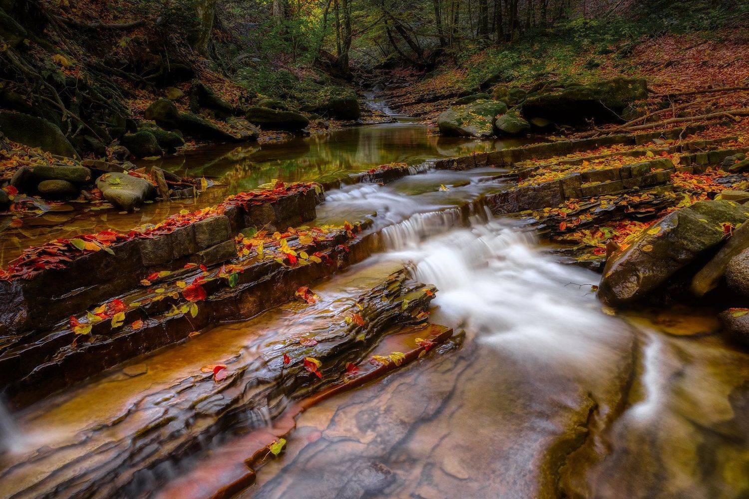 пейзаж, ручей, вода, лес, осень, карпаты, landscape, stream, water, forest, autumn, karpaty, Stanislav Yendrek